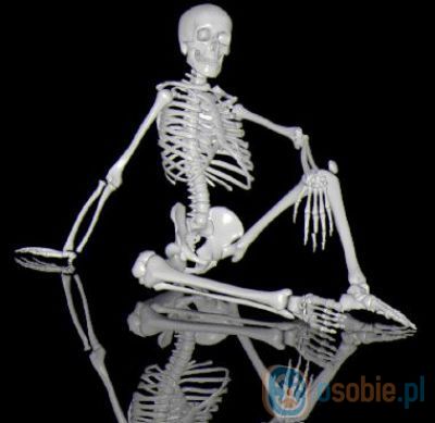 szkielet2.jpg