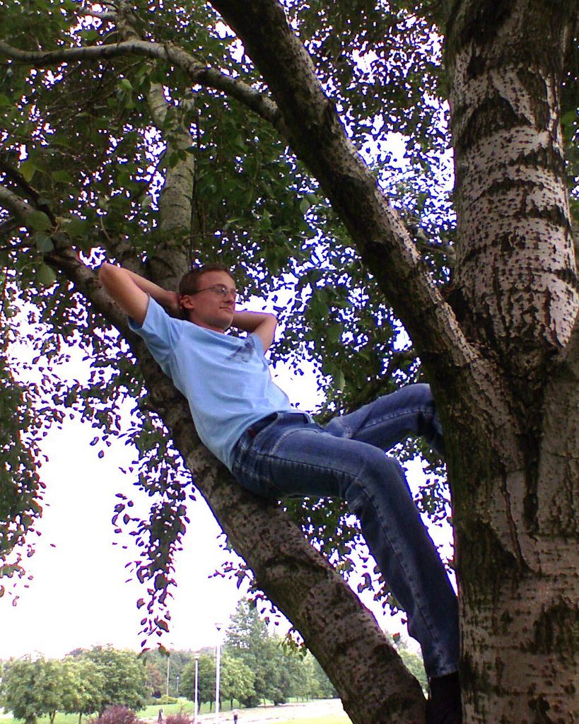 ja na drzewie.JPG