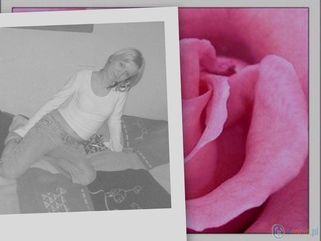 collage40.jpg