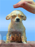 Gakk_puppy6b.gif