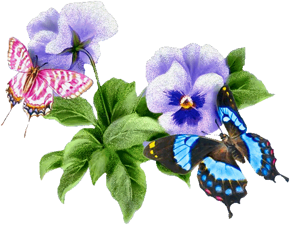 motyl na kwiatku.gif