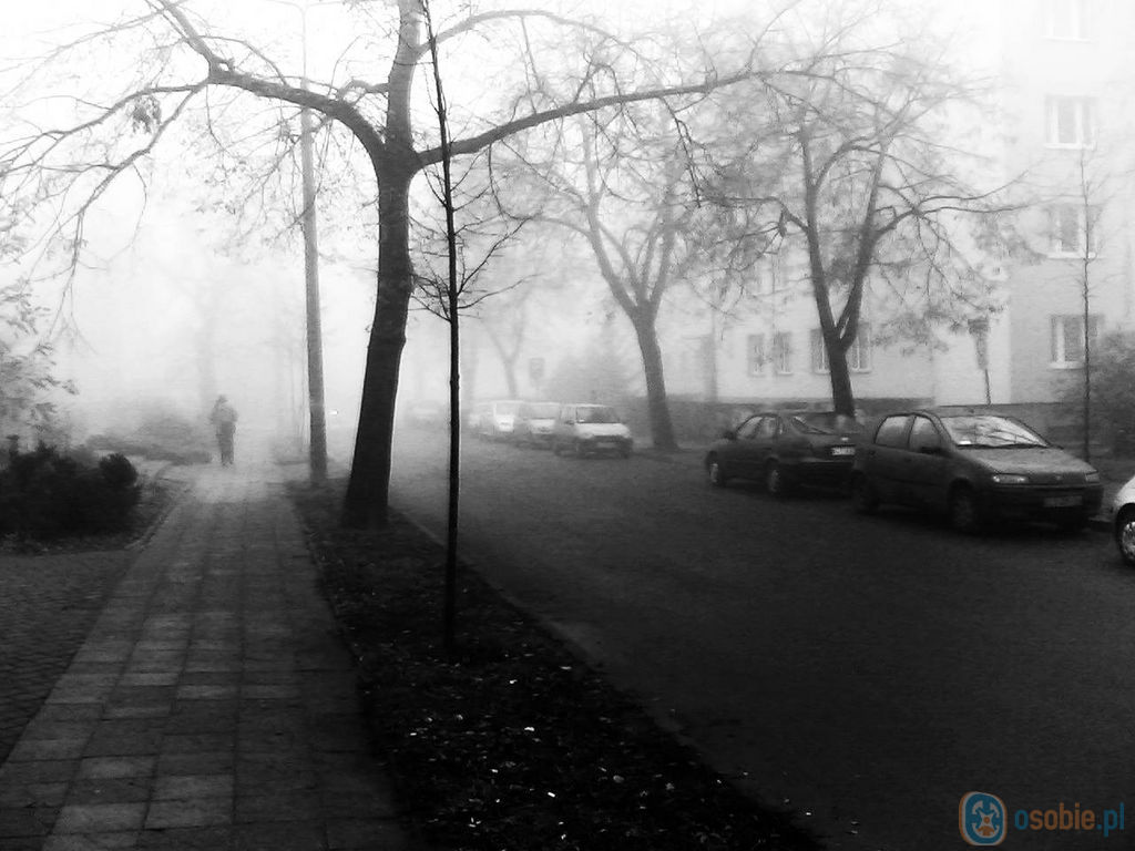 mgła.jpg