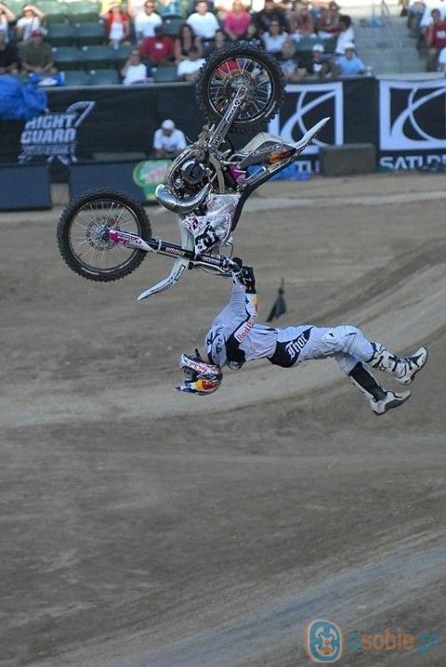 Travis_Pastrana.jpg