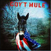 Gov't Mule